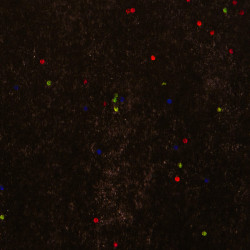 Zijdepapier - Edelsteen - Meerdere kleuren op zwart - Close-up