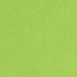 Zijdepapier - Limoen groen - Budget - Close-up