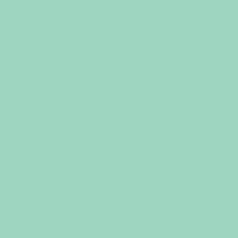 Zijdepapier - Mint groen - PMS 2253/2254 - Premium - Close-up