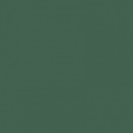 Zijdepapier - Bos groen - PMS 7736 U - Premium