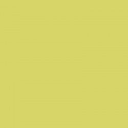 Zijdepapier - Pistache groen - PMS 584/584 - Premium - Close-up