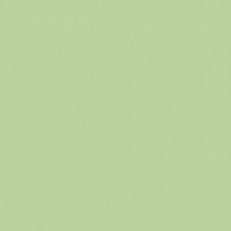 Zijdepapier - Pastel groen - PMS 9562 U - Premium