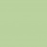 Zijdepapier - Pastel groen - PMS 9562/9562 - Premium - Close-up