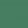 Zijdepapier - Feestelijk groen - PMS 7733/355 - Premium - Close-up