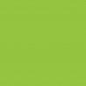 Zijdepapier - Citrus groen - PMS 2292/2292 - Premium - Close-up