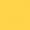 Zijdepapier - Boterbloem geel - PMS 121/114 - Premium - Close-up