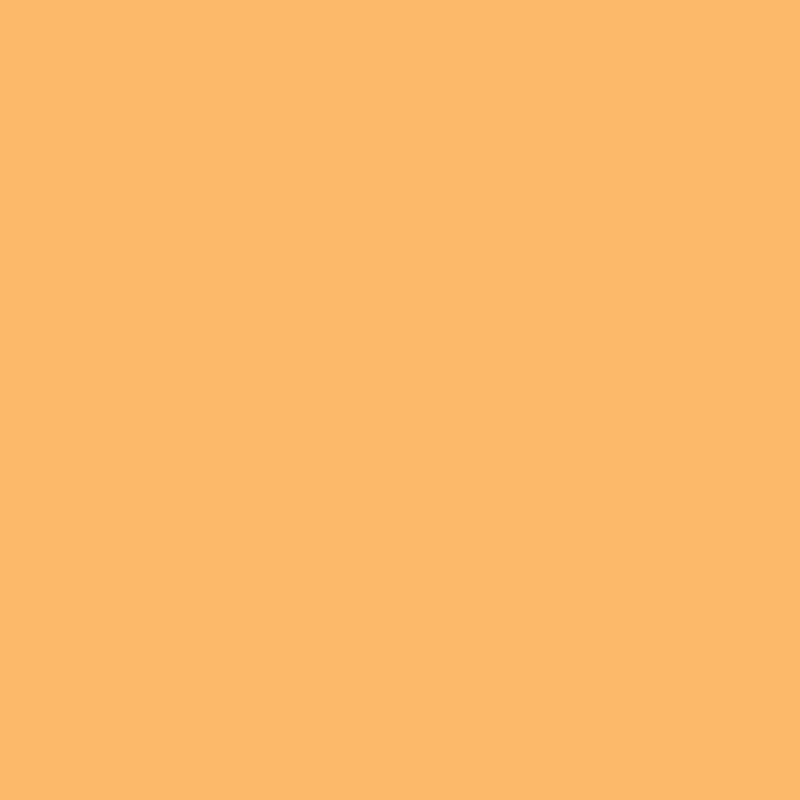 Zijdepapier - Licht oranje - PMS 150/135 - Premium - Close-up