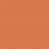 Zijdepapier - Gebrand oranje - PMS 153/2020 - Premium - Close-up