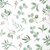 Zijdepapier - Eucalyptus - Groen op wit - Close-up