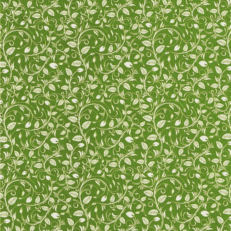 Land waarheid discretie Inpakpapier - Planten - Groen op wit (Nr. 1019) - 50 cm | Paco Verpakkingen