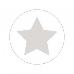 Cadeau stickers - STAR - Zilver op wit - Vooraanzicht