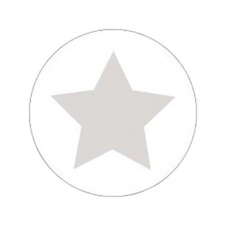 Cadeau stickers - STAR - Zilver op wit Glans