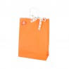 Papieren draagtassen - Oranje - Gedraaide handgreep - Toepassingsfoto